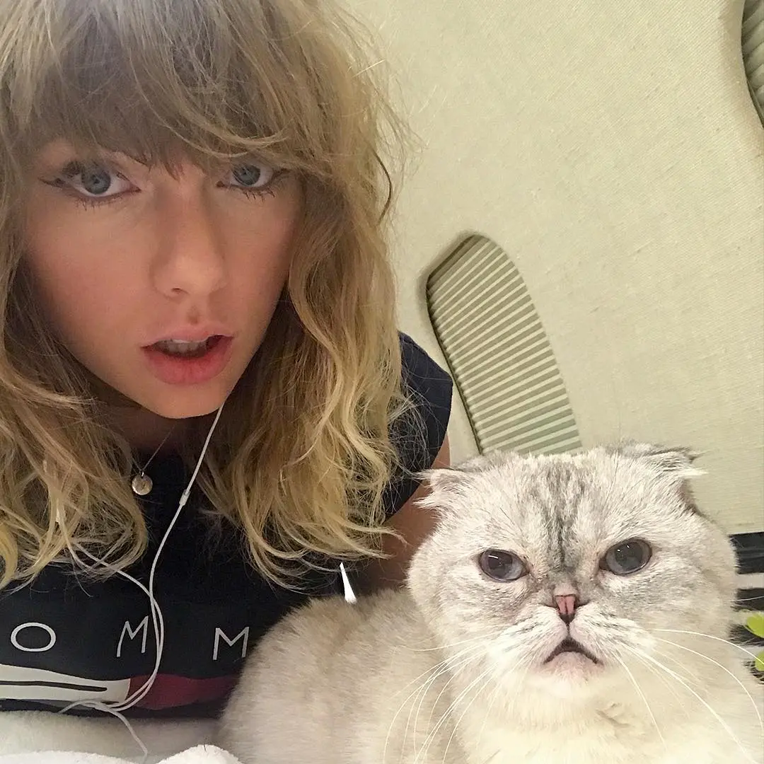 Taylor Swift’s Cat has a Higher Net Worth than Travis Kelce