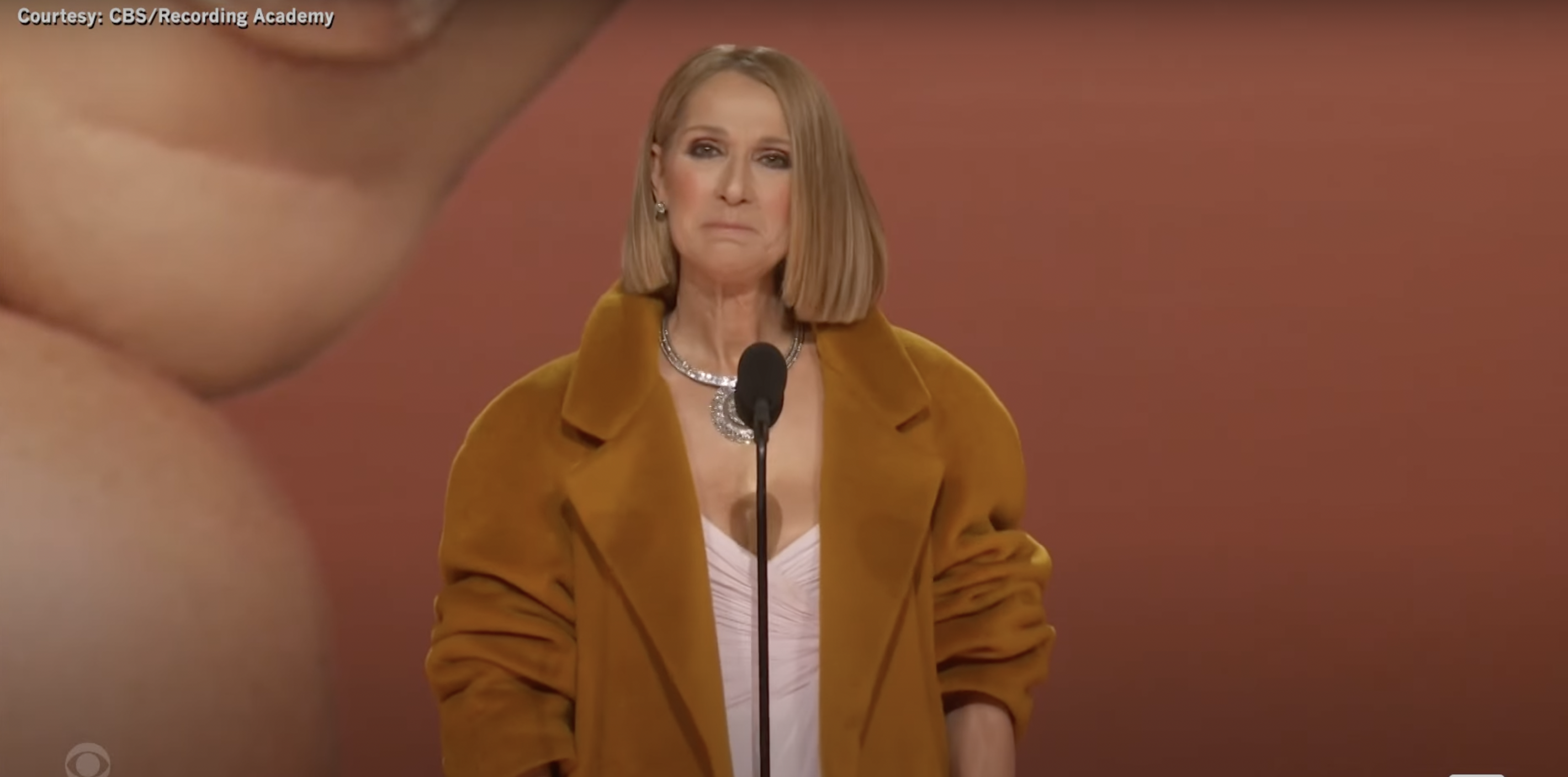 Grammys Viewers in Tears As Celine Dion Makes First Appearance Since ‘Human Statue’ Diagnosis