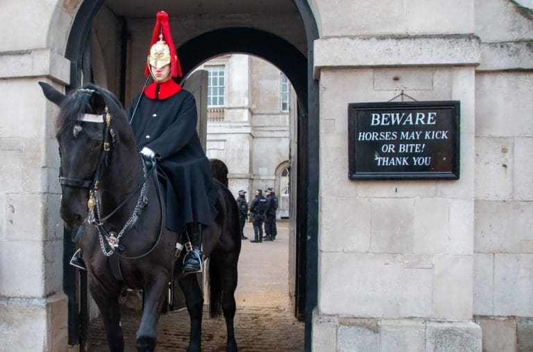 London Tourist Gets Bit By King’s Guard Horse Right In Front Of Sign That Says Horses May Bite