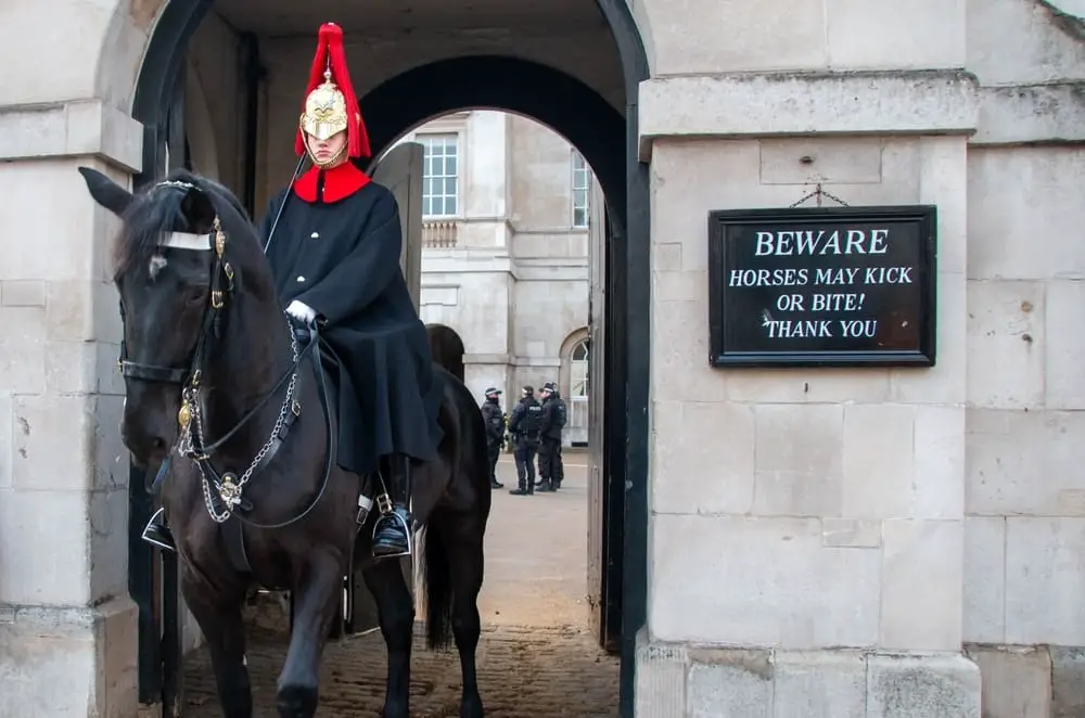 London Tourist Gets Bit By King’s Guard Horse Right In Front Of Sign That Says Horses May Bite