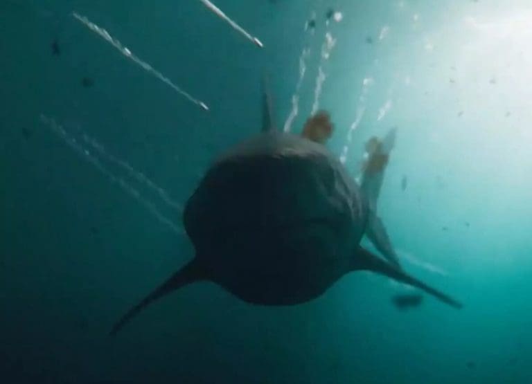 New Shark Movie Being Rated ’10/10′ Is Leaving Viewers On Edge Of Seat On Netflix