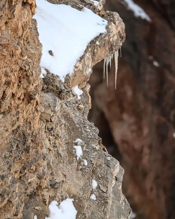 You Have Eagle Eyes If You Can Spot The Snow Leopard In This Photo