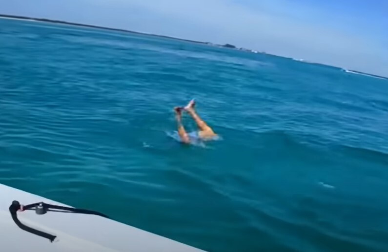 Man Jumps Off Boat Into Ocean To Avoid Giving Girlfriend Phone Password