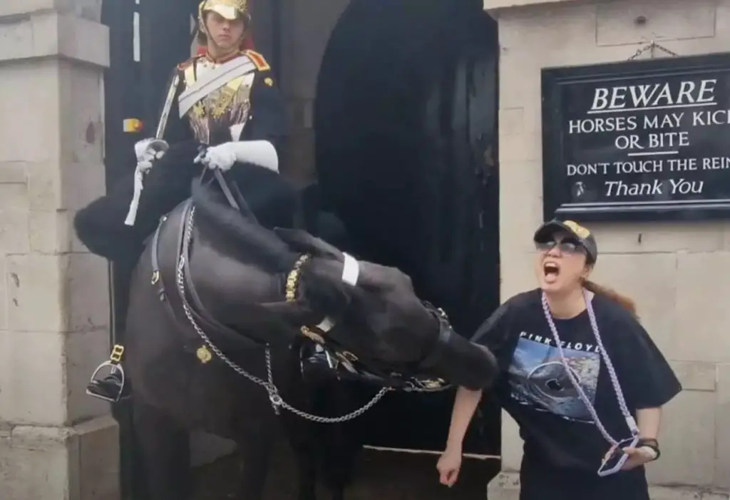 King’s Guard Horse Bites Tourist So Hard She Hits The Ground