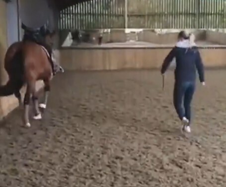 Person Who Leaked Olympic Horse Whipping Video Explains ‘Real Reason’ They Did It