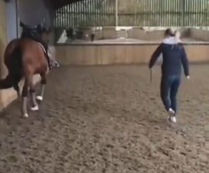 Video Of Team Great Britain Whipping Horse Aired On TV After Olympian Pulls Out Of Games