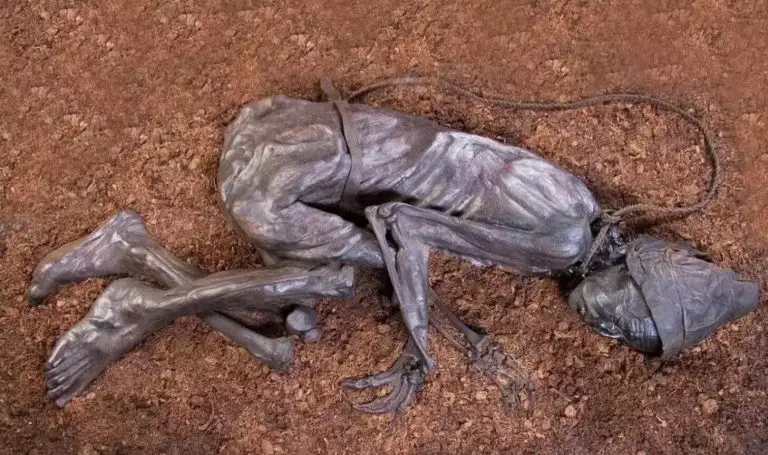 2,400-Year-Old Corpse Was Preserved So Well, Scientists Know What His Last Meal Was