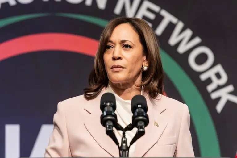 Fox Business Guest Called Kamala Harris ‘Original Hawk Tuah Girl’ Live On Air