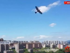 ‘Birds Aren’t Real’ Conspiracy Theorists Are Going Crazy Over New Chinese Drone