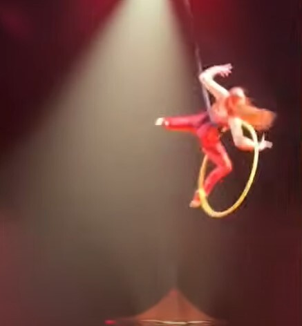 Cirque du Soleil Performer Falls Straight To The Ground In Front Of Live Audience