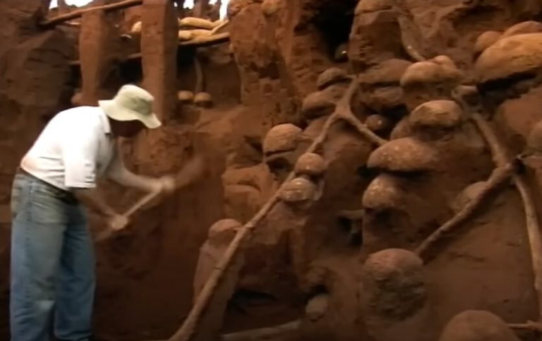 Incredible Video Shows Scientists Pouring Concrete In Ant ‘Mega-City’