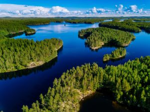 Couple Bought Deserted Island Because It’s Cheaper Than A Down Payment For A Home