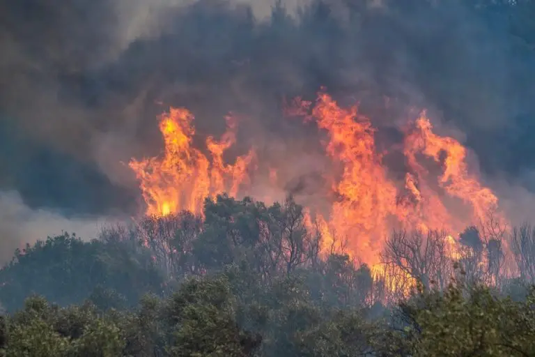 Women Set 2 Wildfires On Purpose ‘Because She Enjoyed Watching Firefighters And Hoped To Flirt With Them’