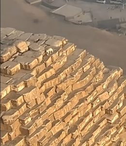 Guy Found A Dog At The Top Of Great Pyramid While He Was Paragliding