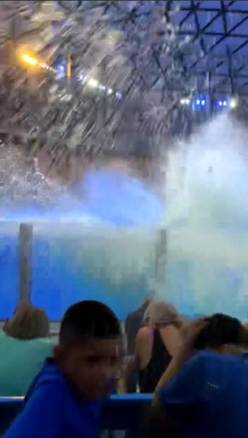 Orca Pooped In Tank And Then Splashed Crowd With It