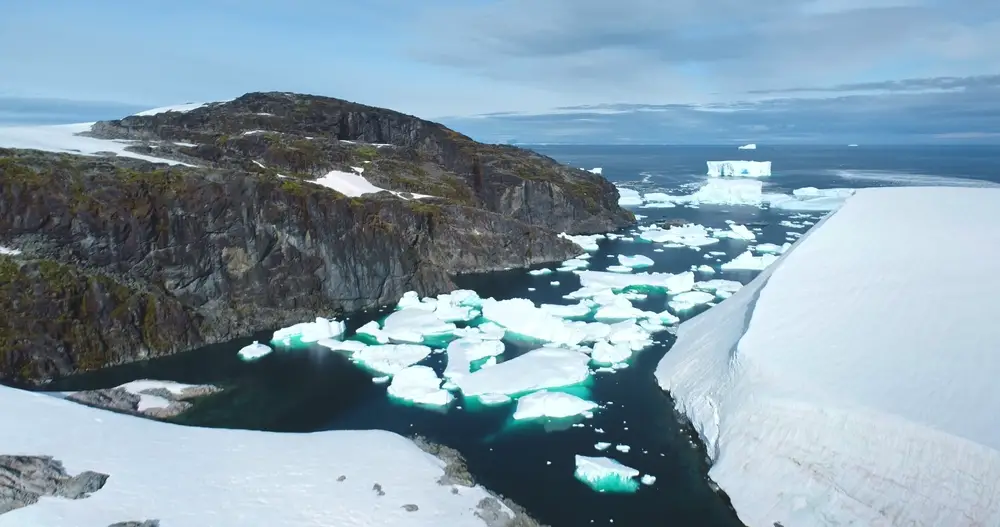 Antarctica Is Quickly Turning Green, Leaving Scientists With ‘Serious Concerns’