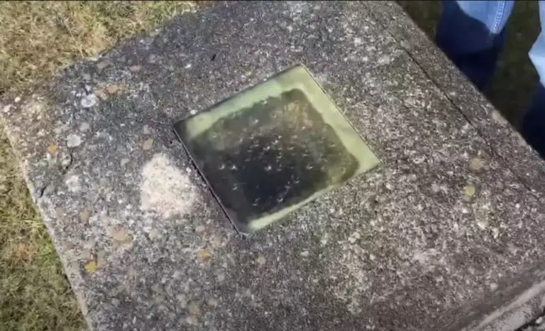 Guy Was So Terrified Of Being Buried Alive He Had A Window Put Above His Grave