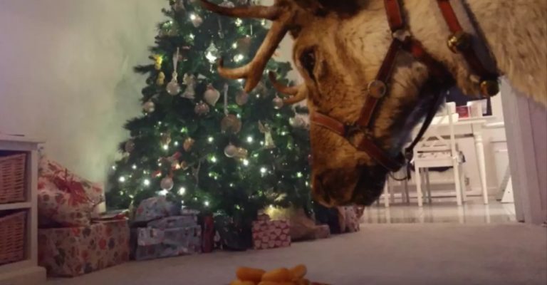 You Can Rudolph Eating In Your Home And Surprise Your Kids For Free Tonight