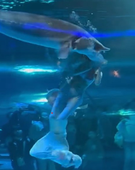 Giant Fish Bites Mermaid’s Head In Chinese Aquarium