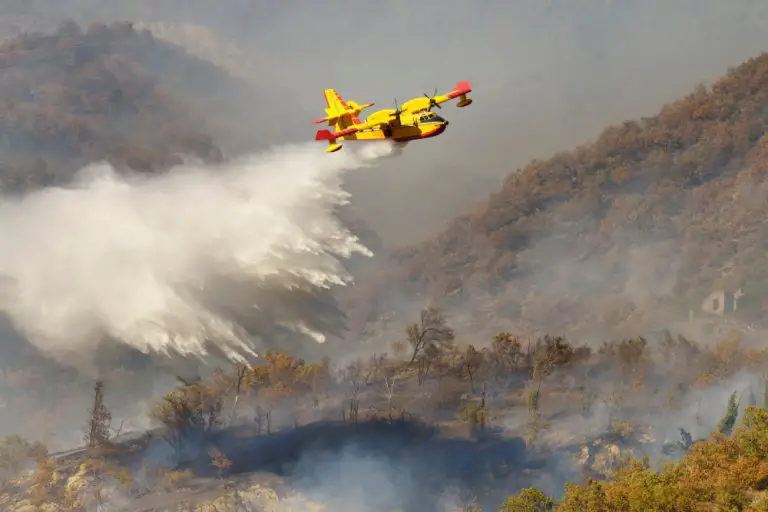 LA Firefighting Plane Was Hit By Drone, Grounded For 3 Days