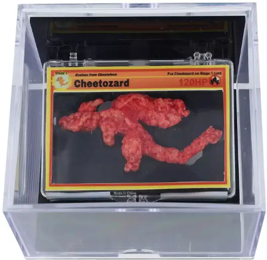 Pokemon Shaped Cheeto Sells For Insane Amount At Auction