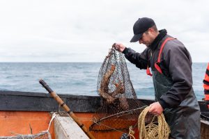 Boston Fishermen Catch Dead Body In Net Off Coast